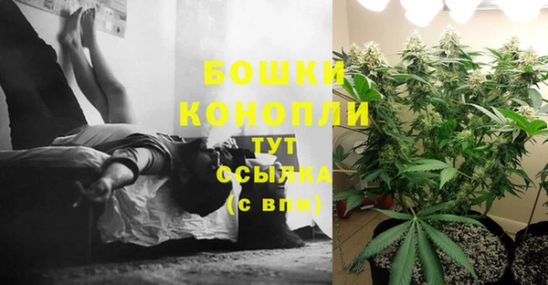 прущие грибы Липки