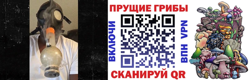 гидра рабочий сайт  Урень  Псилоцибиновые грибы ЛСД  магазин   