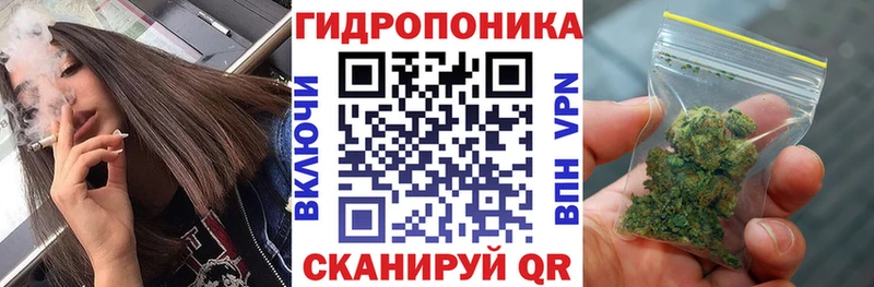 Бошки Шишки White Widow  MEGA ССЫЛКА  Урень  купить наркоту 